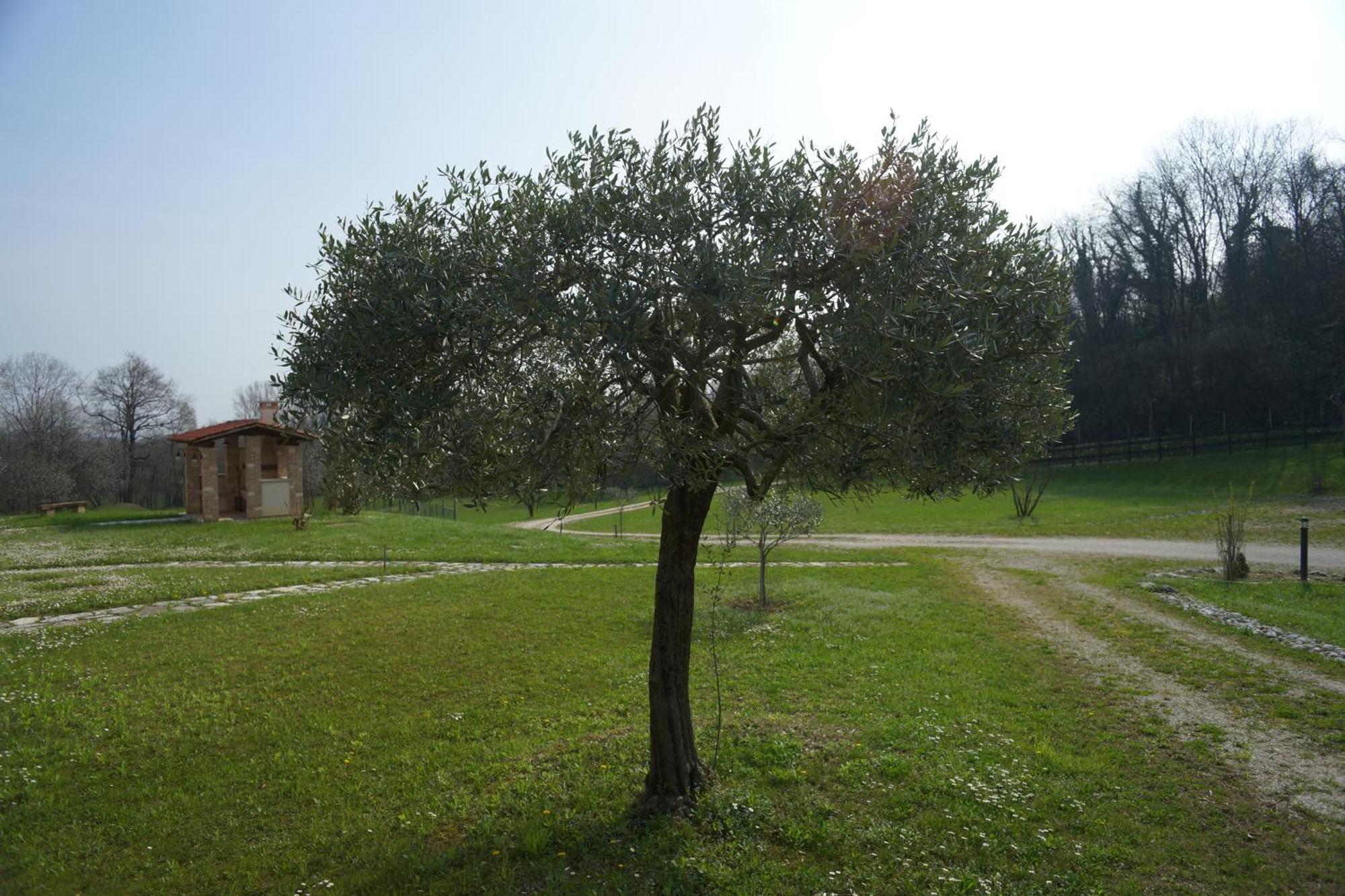 Nikolas' Valley Cornuda Buitenkant foto